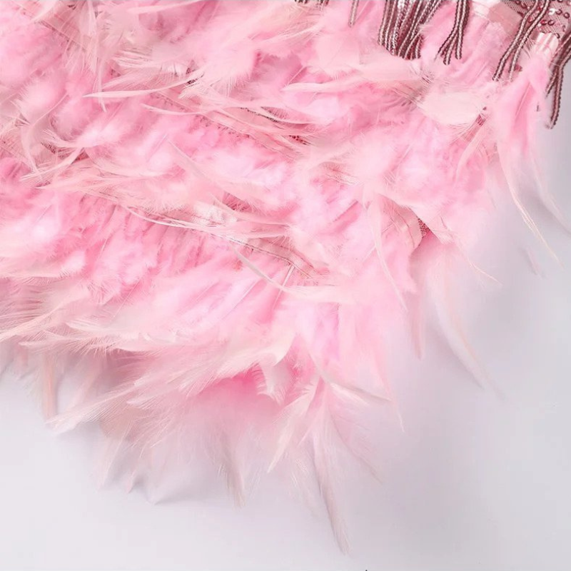 Pink Women’s Glam Sequin Feather Trim Cocktail Dress on the model